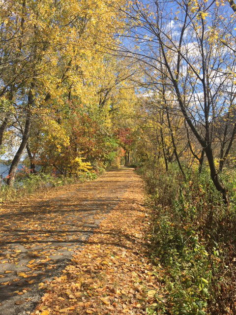 Bike path around Lake Winona